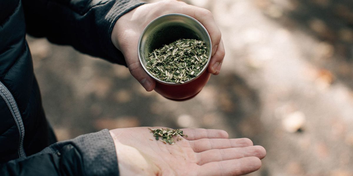yerba-mate-vs-kratom